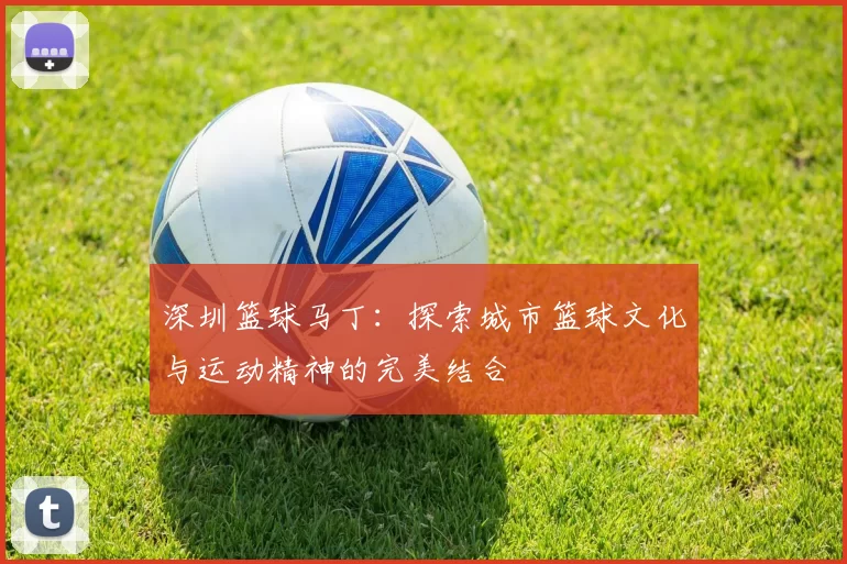 深圳篮球马丁：探索城市篮球文化与运动精神的完美结合